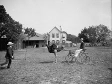 Oliver W., the famous trotting ostrich [at Florida Ostrich Farm, Jacksonville], c1903. Creator: Unknown