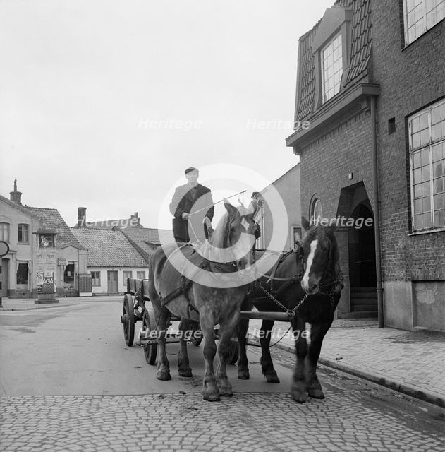 Olof Friberg, the last driver at Landskrona, with his two horses The Girl and Lottie, Sweden, 1950. Creator: Unknown.
