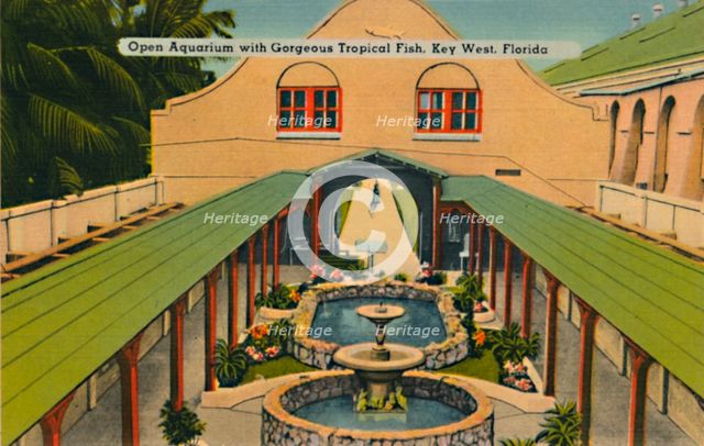 'Open Aquarium with Gorgeous Tropical Fish, Key West, Florida', c1940s. Artist: Unknown.