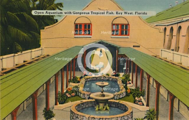 'Open Aquarium with Gorgeous Tropical Fish, Key West, Florida', c1940s. Artist: Unknown.