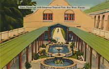 Open Aquarium with Gorgeous Tropical Fish, Key West, Florida c1940s