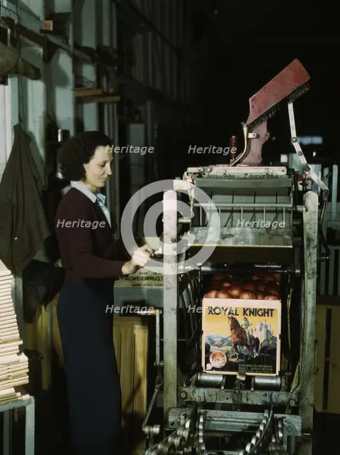 Operating a machine for putting tops on crates, co-op orange packing plant, Redlands, Calif. , 1943. Creator: Jack Delano.