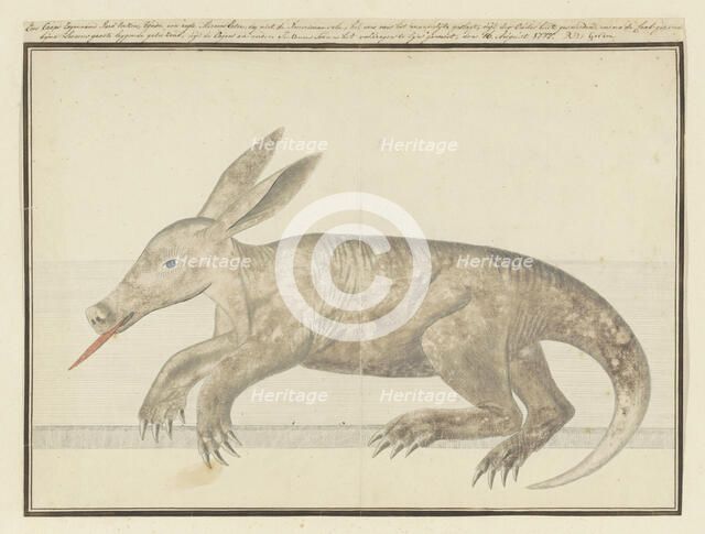 Orycteropus afer (Aardvark), 1777-1786. Creator: Robert Jacob Gordon.