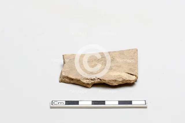 Oracle bone, incribed, Shang dynasty, ca. 1600 - ca. 1050 BCE. Creator: Unknown.