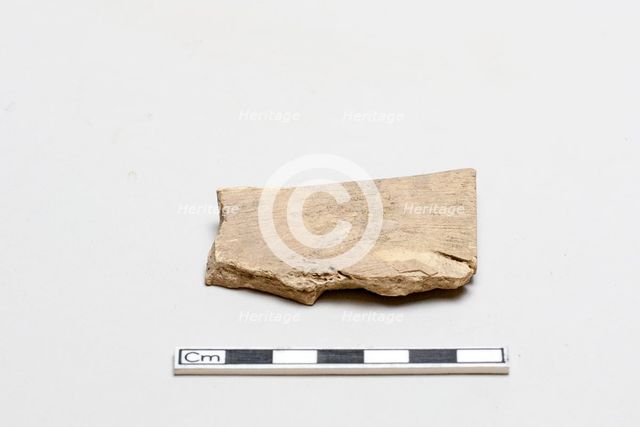 Oracle bone, incribed, Shang dynasty, ca. 1600 - ca. 1050 BCE. Creator: Unknown.