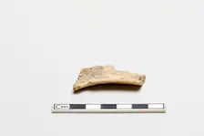 Oracle bone, inscribed, Shang dynasty, ca. 1600 - ca. 1050 BCE. Creator: Unknown