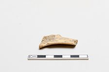 Oracle bone, inscribed, Shang dynasty, ca. 1600 - ca. 1050 BCE. Creator: Unknown