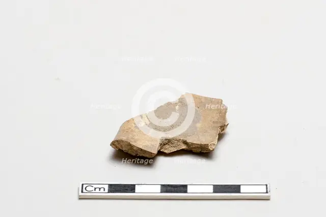 Oracle bone, inscribed, Shang dynasty, ca. 1600 - ca. 1050 BCE. Creator: Unknown.