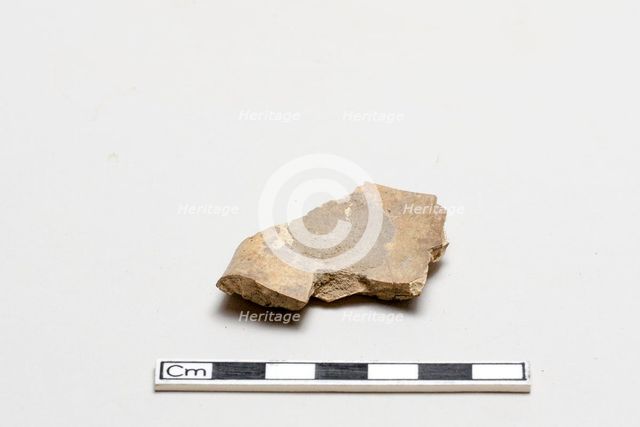 Oracle bone, inscribed, Shang dynasty, ca. 1600 - ca. 1050 BCE. Creator: Unknown.