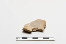 Oracle bone, inscribed, Shang dynasty, ca. 1600 - ca. 1050 BCE. Creator: Unknown