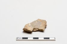 Oracle bone, inscribed, Shang dynasty, ca. 1600 - ca. 1050 BCE. Creator: Unknown