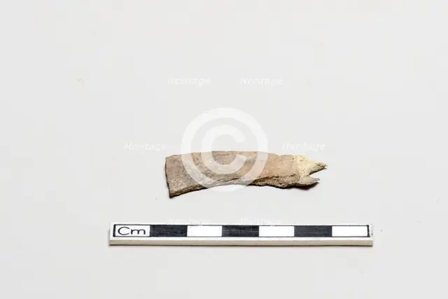 Oracle bone, inscribed, Shang dynasty, ca. 1600 - ca. 1050 BCE. Creator: Unknown.