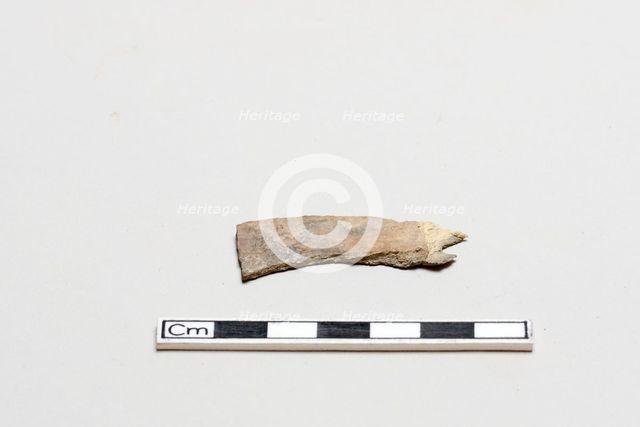 Oracle bone, inscribed, Shang dynasty, ca. 1600 - ca. 1050 BCE. Creator: Unknown.