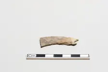 Oracle bone, inscribed, Shang dynasty, ca. 1600 - ca. 1050 BCE. Creator: Unknown
