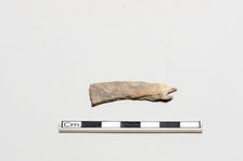 Oracle bone, inscribed, Shang dynasty, ca. 1600 - ca. 1050 BCE. Creator: Unknown