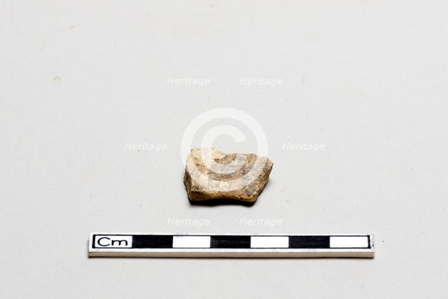 Oracle bone, inscribed, Shang dynasty, ca. 1600 - ca. 1050 BCE. Creator: Unknown.