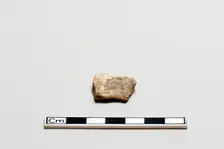 Oracle bone, inscribed, Shang dynasty, ca. 1600 - ca. 1050 BCE. Creator: Unknown