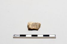 Oracle bone, inscribed, Shang dynasty, ca. 1600 - ca. 1050 BCE. Creator: Unknown
