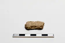 Oracle bone, inscribed, Shang dynasty, ca. 1600 - ca. 1050 BCE. Creator: Unknown