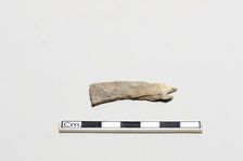 Oracle bone, inscribed, Shang dynasty, ca. 1600 - ca. 1050 BCE. Creator: Unknown