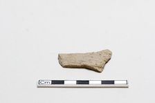 Oracle bone, inscribed, Shang dynasty, ca. 1600 - ca. 1050 BCE. Creator: Unknown