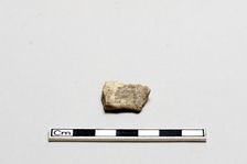 Oracle bone, inscribed, Shang dynasty, ca. 1600 - ca. 1050 BCE. Creator: Unknown