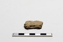 Oracle bone, inscribed, Shang dynasty, ca. 1600 - ca. 1050 BCE. Creator: Unknown