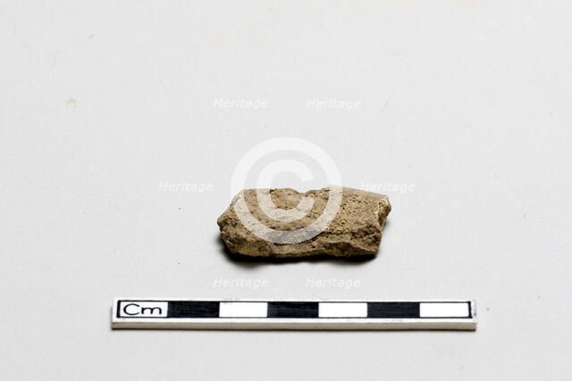 Oracle bone, inscribed, Shang dynasty, ca. 1600 - ca. 1050 BCE. Creator: Unknown.