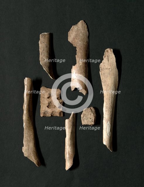Oracle Bones (76 total), Shang dynasty (about 1600-1046 BC). Creator: Unknown.