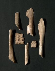 Oracle Bones (76 total), Shang dynasty (about 1600-1046 BC). Creator: Unknown
