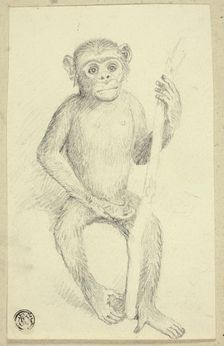 Orangutang, n.d. Creator: Edwin Henry Landseer