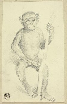 Orangutang, n.d. Creator: Edwin Henry Landseer