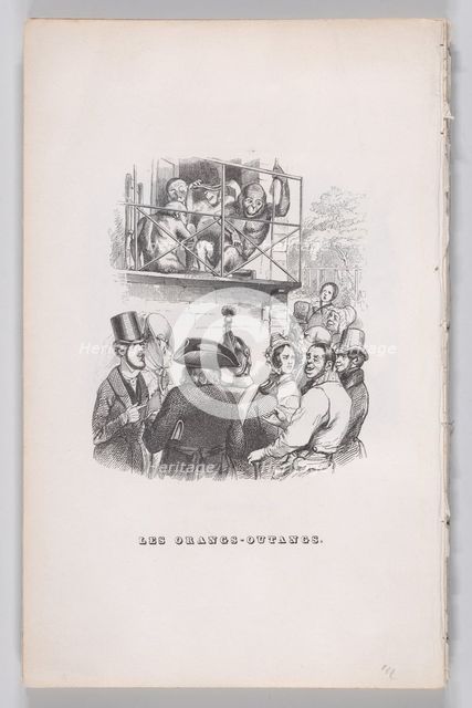 Orangutans from The Complete Works of Béranger, 1836. Creator: Jean Ignace Isidore Gerard.