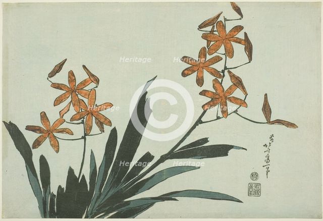 Orange Orchids, from an untitled series of flowers, Japan, c. 1832. Creator: Hokusai.