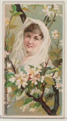 Orange Blossom: Maidenly Reserve, from the series Floral Beauties and Language of Flowers ..., 1892. Creator: Donaldson Brothers