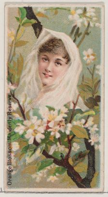 Orange Blossom: Maidenly Reserve, from the series Floral Beauties and Language of Flowers ..., 1892. Creator: Donaldson Brothers