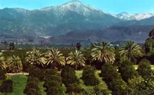 Orange groves and mountains, California, USA, 1953