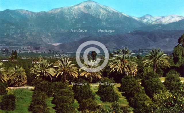 Orange groves and mountains, California, USA, 1953. Artist: Unknown