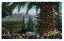 Orange Groves and Snow Capped mountains, Winter in California USA, 1924