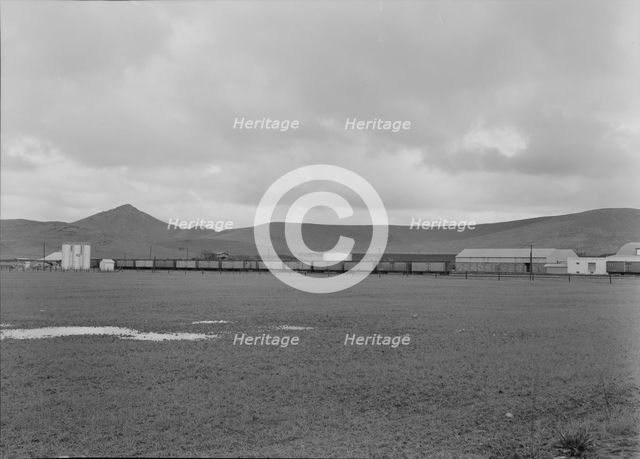 Orange packing shed, Strathmore, California, 1939. Creator: Dorothea Lange.