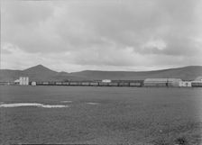Orange packing shed, Strathmore, California, 1939. Creator: Dorothea Lange