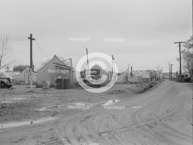 Orange picker's camp, Strathmore, California  , 1939. Creator: Dorothea Lange.