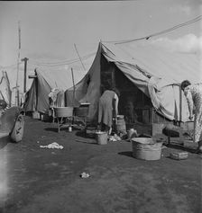 Orange pickers camp, Tulare County, California, 1938. Creator: Dorothea Lange