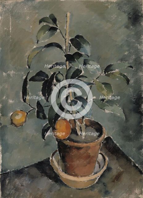 Orange Plant. Creator: Karl Isakson.