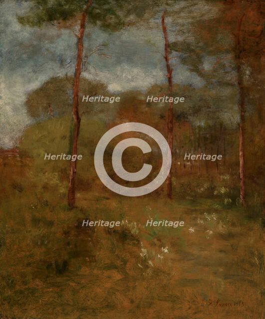 Orange Road, Tarpon Springs, about 1893. Creator: George Inness.