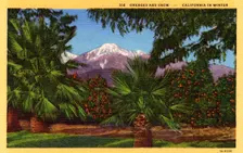 Oranges and Snow, California in Winter postcard, 1931