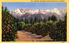 Oranges and Snow-Capped Mountains, California postcard, 1931
