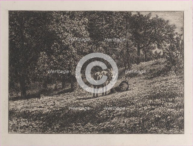 Orchard, 1865. Creator: Charles Emile Jacque.