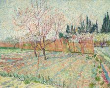 Orchard with cypresses, 1888. Creator: Gogh, Vincent, van (1853-1890)