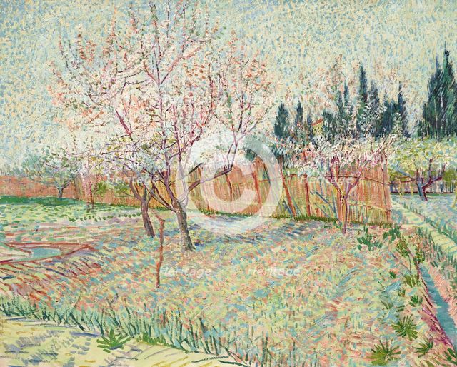 Orchard with cypresses, 1888. Creator: Gogh, Vincent, van (1853-1890).